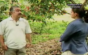 T&eacute;cnico da Ceplac explica a rep&oacute;rter quias os procedimentos corretos 