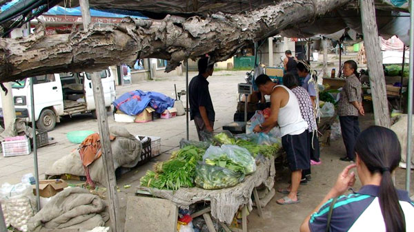 Na feira de produtores na vila, barracas são montadas com troncos e toldos rasgados - Rodrigo Bertolotto/UOL