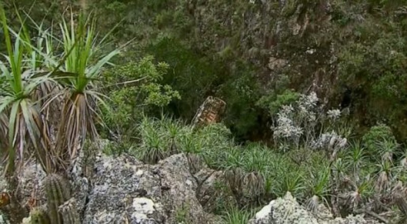 Foto: