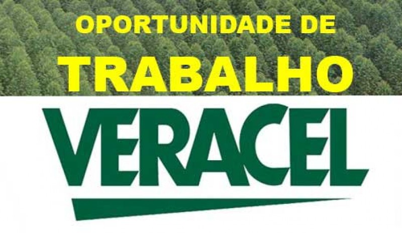 Foto: Montagem / Redação