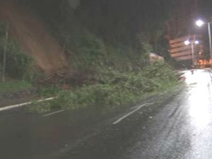 �rvore ca�da na Avenida Garibaldi, sentido Iguatemi, pr�ximo ao cruzamento da Lucaia. (Foto: Imagens/TV Bahia)