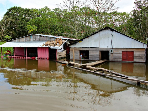 Casas foram invadidas pelas �guas (Foto: Adneison Severiano/G1 AM)
