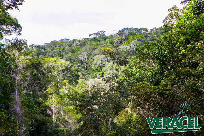Foto: Ernandes Alcantara