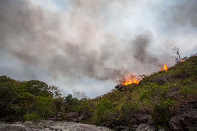 A manuten��o dos estoques de carbono contidos na vegeta��o � fundamental, principalmente no Brasil - Foto: Divulga��o/A�ony Santos